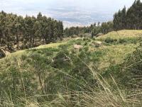 Iniciarán acciones en defensa de área  protegida cerca del Parque Tunari