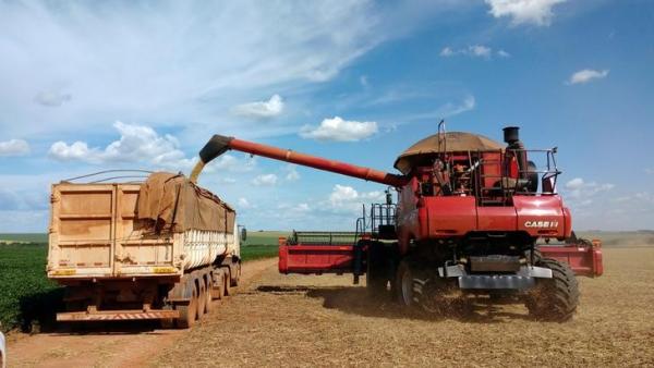 Clima seco puede limitar   producción de maíz en Brasil