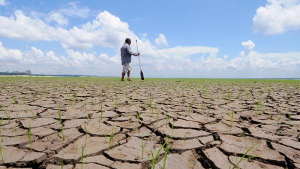 El sábado se realizarán ferias por el Día de la Madre Tierra