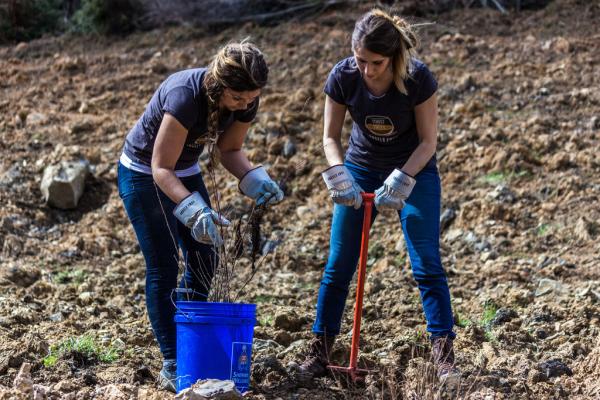 ONU destaca cinco proyectos  para sanar nuestro planeta