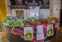 Feria de agricultura urbana se realiza en Cochabamba