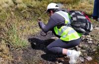 La Paz lidera concurso sobre registro de plantas y animales