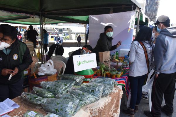 Microempresarios piden facilidades en  financiamiento para proyectos verdes