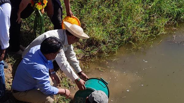 Promueven producción piscícola  en municipio de Cuatro Cañadas