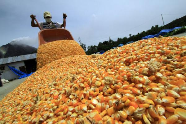 Ingresa en debate nuevamente uso de  biotecnología para asegurar producción