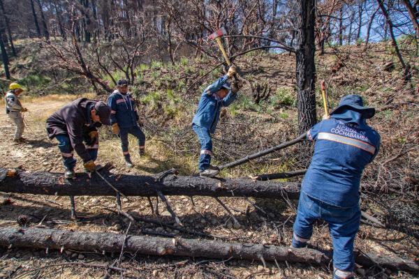 Cámara térmica evita expansión de incendio en Parque Tunari