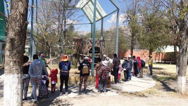 Cerca de 50 animales murieron en Bioparque Vesty Pakos de La Paz