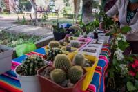 Se realiza expoferia en el Jardín Botánico