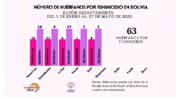 63 hijos e hijas perdieron a sus  madres por violencia feminicida