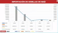 Sector semillero en estado de emergencia  ante uso excesivo de semillas ilegales