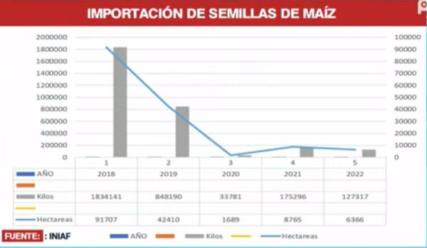 Sector semillero en estado de emergencia  ante uso excesivo de semillas ilegales