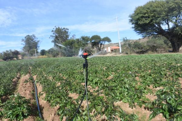 Impulsan programa de riego para  incrementar producción agrícola