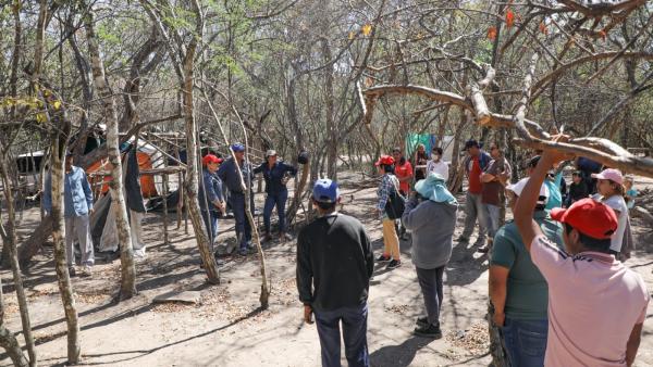 Amplían trabajo de Comisión de Tierras del legislativo cruceño