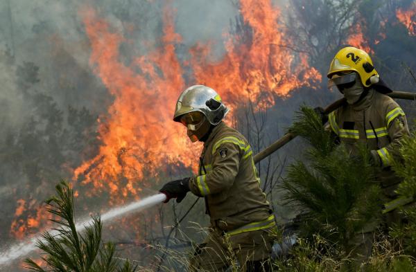 Francia, España y Portugal luchan  contra los incendios forestales