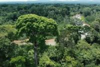 Más de 70 venezolanos están  desaparecidos en selva del Darién