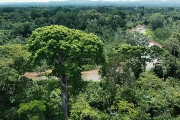 Más de 70 venezolanos están  desaparecidos en selva del Darién