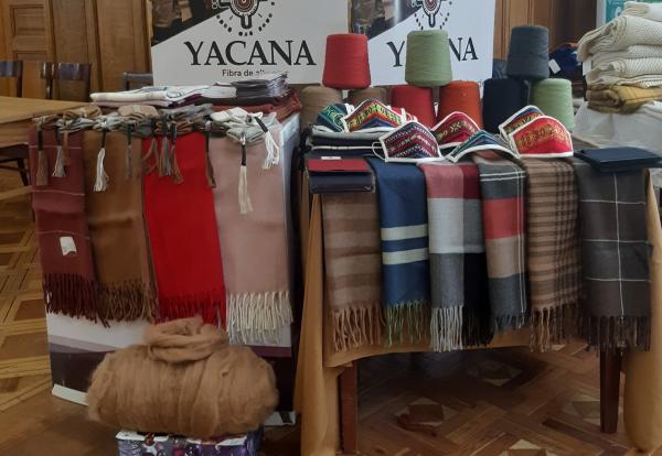 Reino Unido, China y mercado interno son los  principales compradores de productos de alpaca