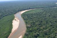 Cuenca del Amazonas con  alertas amarilla y verde