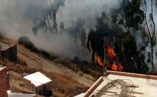 Bomberos atienden de cuatro a  seis incendios forestales al día