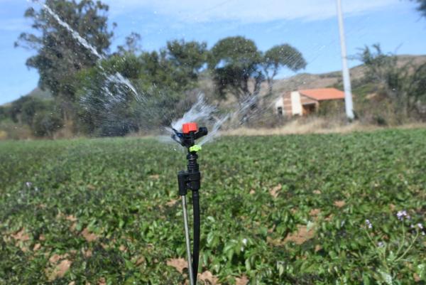 Destacan respaldo al agro; pero  los resultados se desconocen