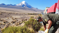 Guardaparques del Sajama en  emergencia por falta de sueldos