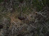 “Si Brasil legaliza más minería en  Amazonas se impulsará deforestación”