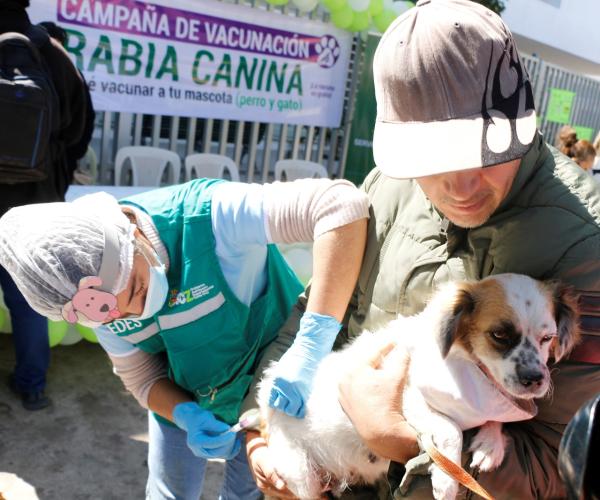 Campaña antirrábica se realiza a nivel nacional