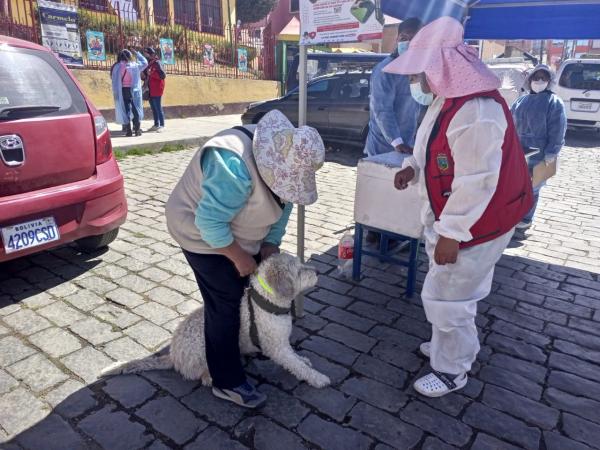 Más de 300.000 perros y gatos fueron  vacunados en dos días de campaña