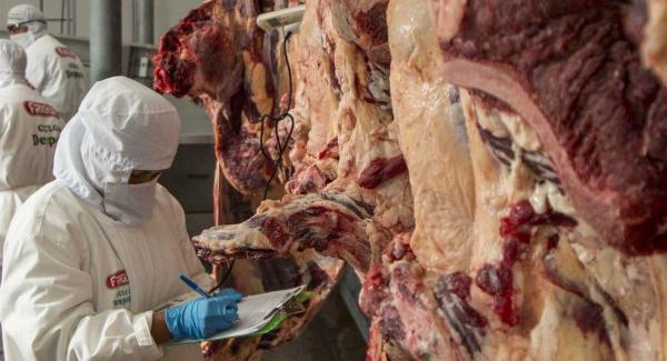 Exportación de carne alcanzó a  $us 267 millones en siete años