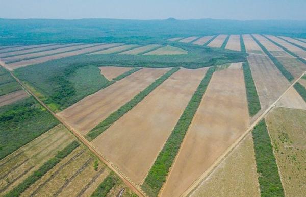 Afines al MAS en el oriente recibieron 96% de tierras fiscales