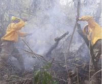 Controlan incendios en dos provincias cruceñas