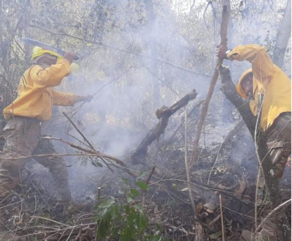 Controlan incendios en dos provincias cruceñas