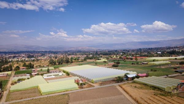 Invierten en producción de flores en el municipio de Quillacollo