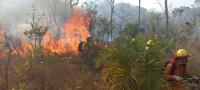 Persisten incendios forestales  en dos parques nacionales