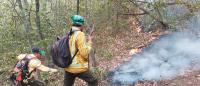 Incendios de magnitud en Roboré  movilizan a unidades de bomberos