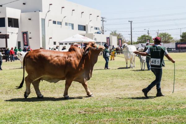 Masiva asistencia del público a la feria multisectorial en Santa Cruz