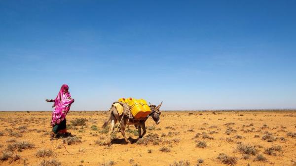 EEUU entrega 150 millones de  euros ante la sequía en Somalia