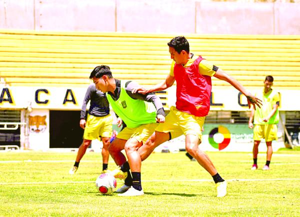 Hinchas del ‘Tigre’ festejan y el equipo trabaja