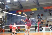 Bolivia arrancará el Sudamericano de voleibol femenino contra Venezuela