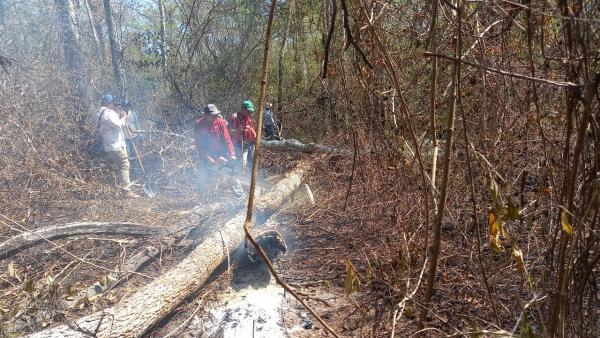 Santa Cruz registra 3 incendios  forestales y 2 municipios afectados