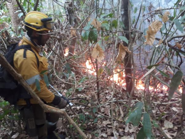 Nuevo incendio eleva a cuatro  las emergencias activas