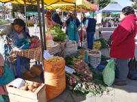 Pobladores de Tacachira ofrecen  verduras, tubérculos y ganado