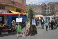 Caña de azúcar no puede faltar en Todos Santos