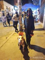 Con disfraces, desfiles y casas del  terror, paceños celebran Halloween