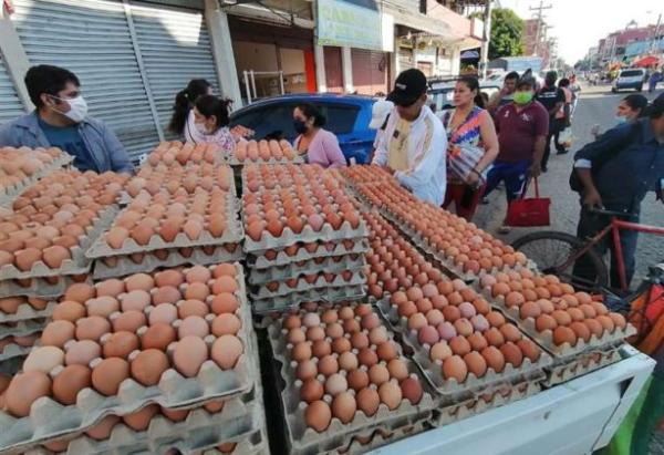 Cerco de afines al MAS pone  en riesgo seguridad alimentaria