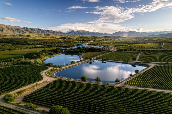 Encuentro Pro-Uva buscará   subir producción del sector