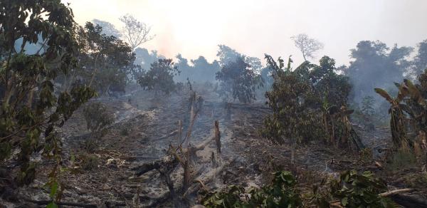 Incendios causan estragos, daños ambientales, pérdidas y muerte