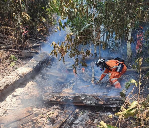 Equipo de ayuda sofoca tres de ocho focos de calor en Zongo