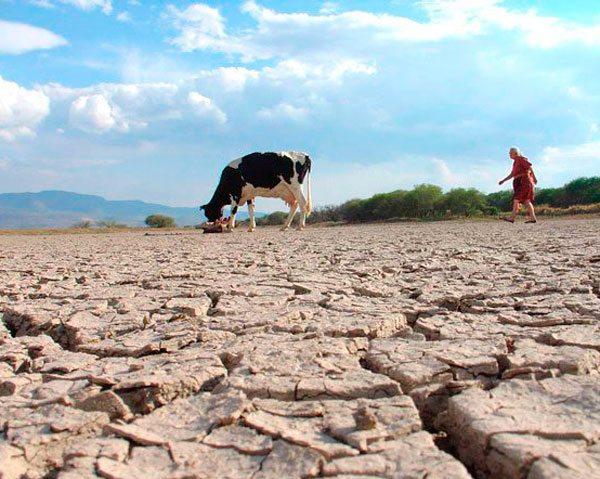 Cuestionan labor del Estado  sobre problemas ambientales