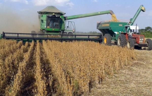 Crecen exportaciones de soya en 74,2%